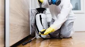 Professional Pest Control in Rockwood, MI